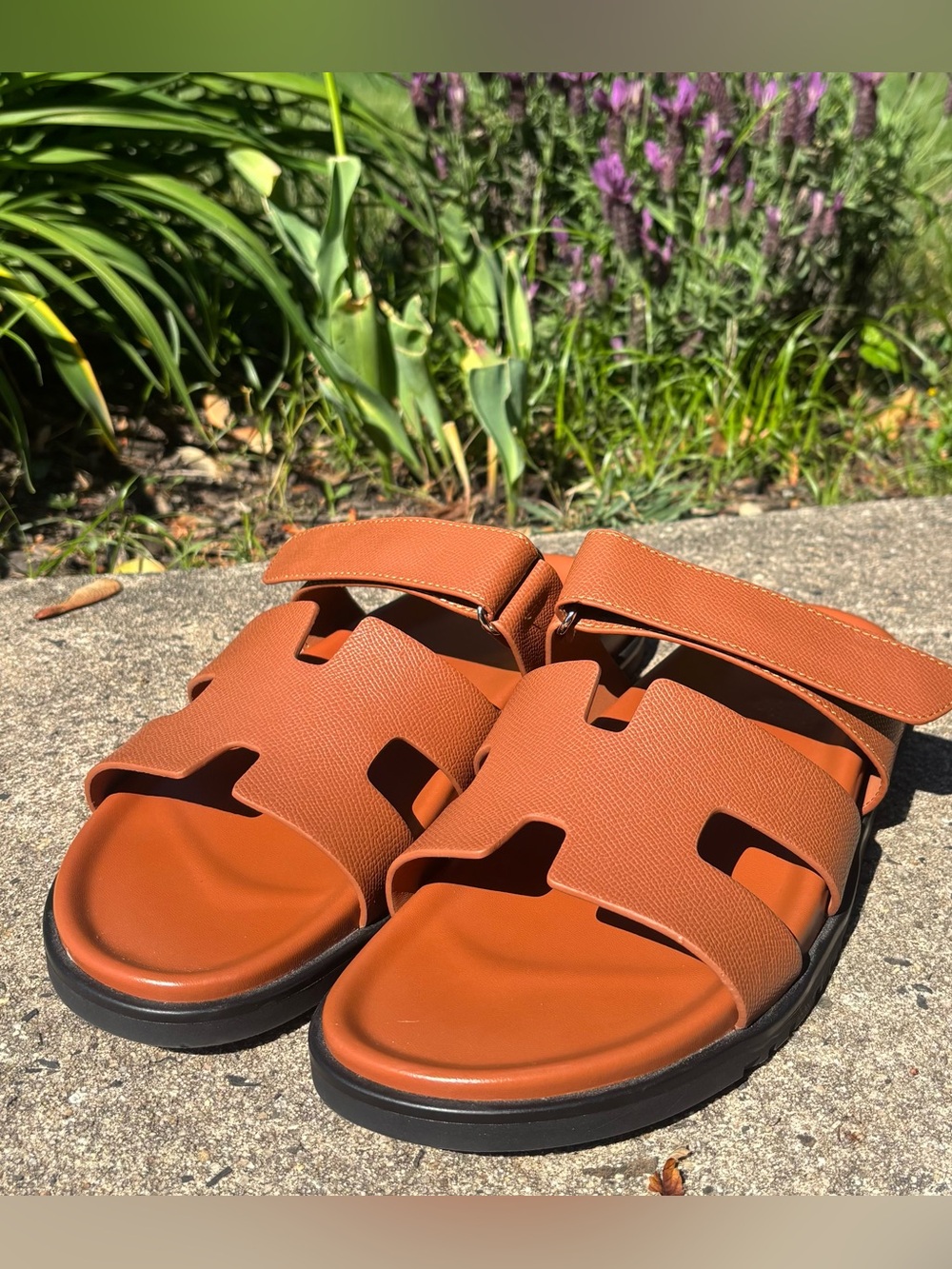 Men’s Brown Chypre Sandals
